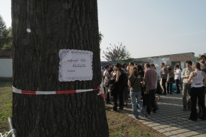 1.schild